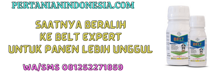 jual,murah,terjangkau,toko pertanian terdekat,pertanian indonesia